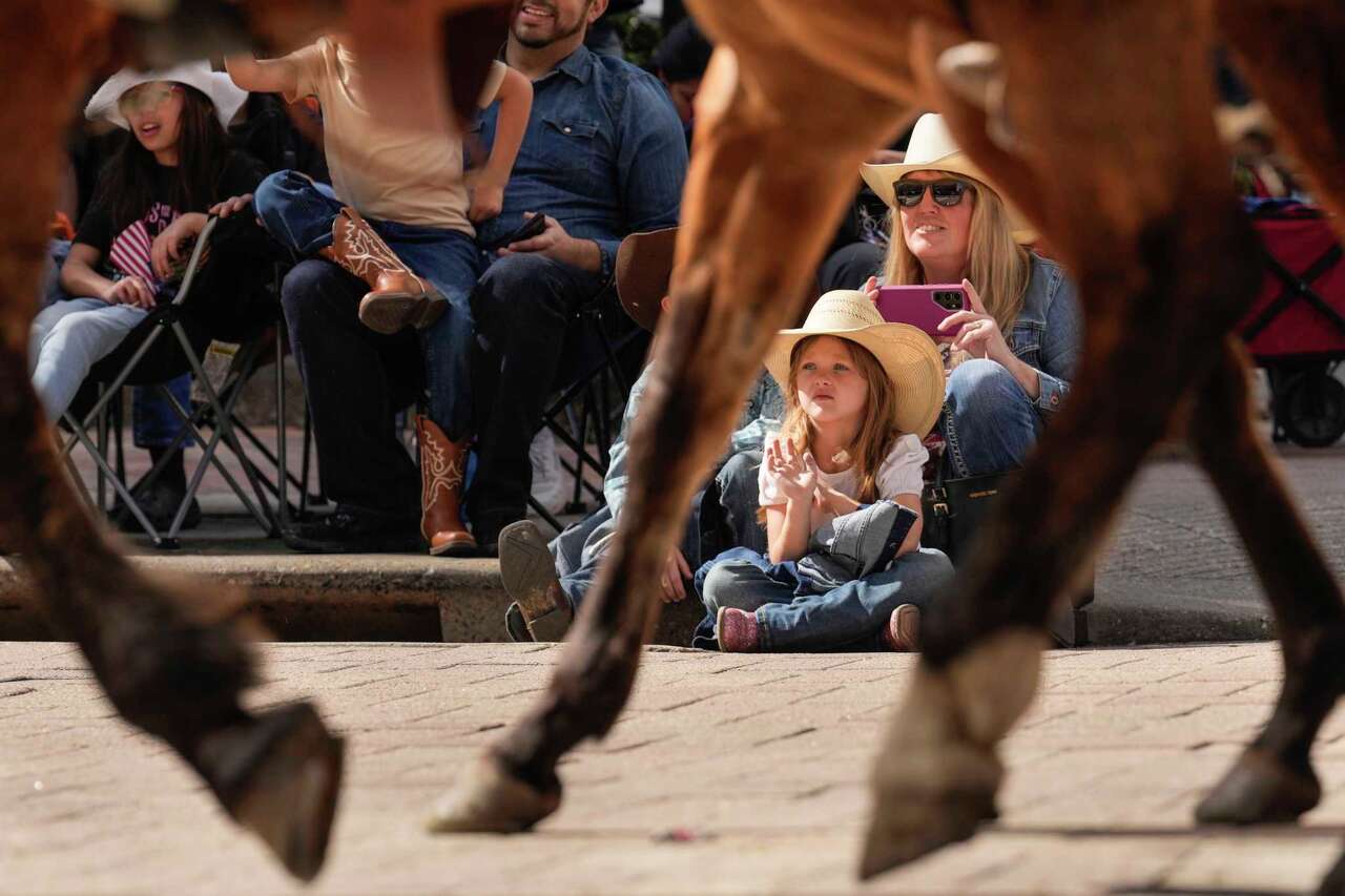 Everything to know about the Houston Rodeo Run and parade: Route, map ...