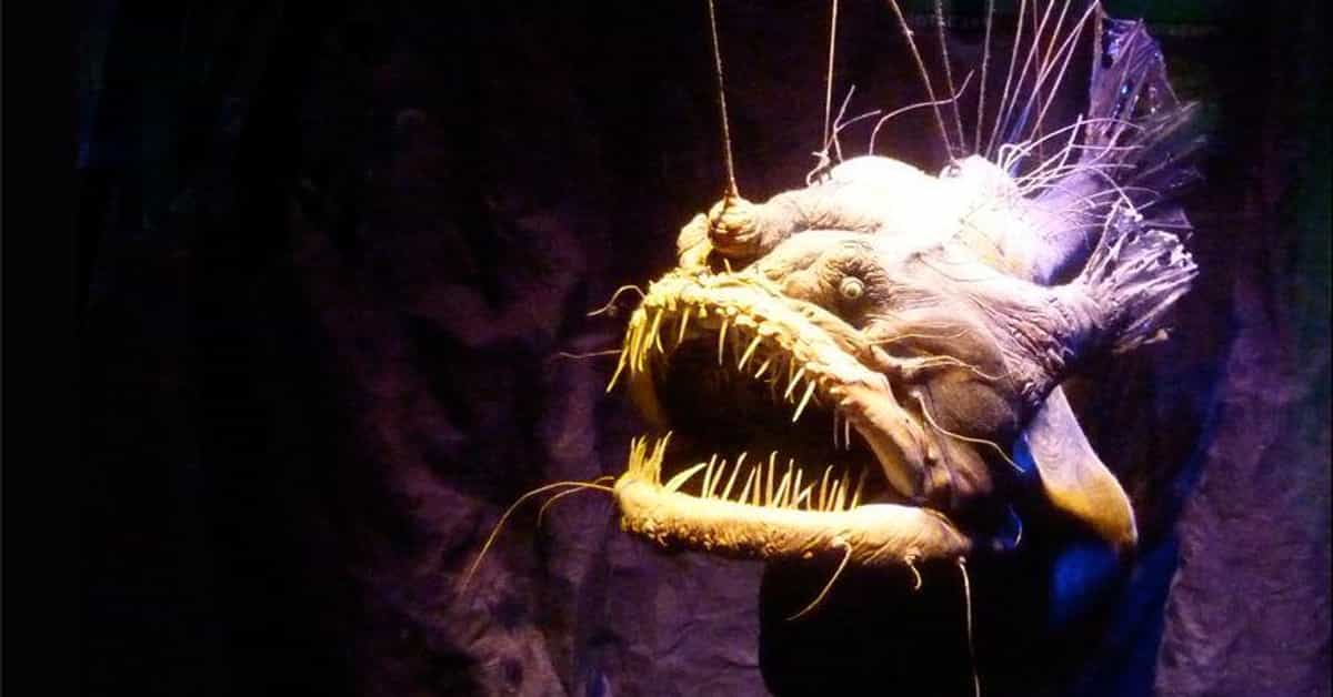 The creepiest creatures that live in perpetual darkness