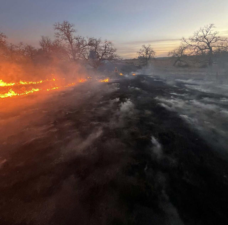 Wildfires are raging across Texas. Where is the largest one in Central ...