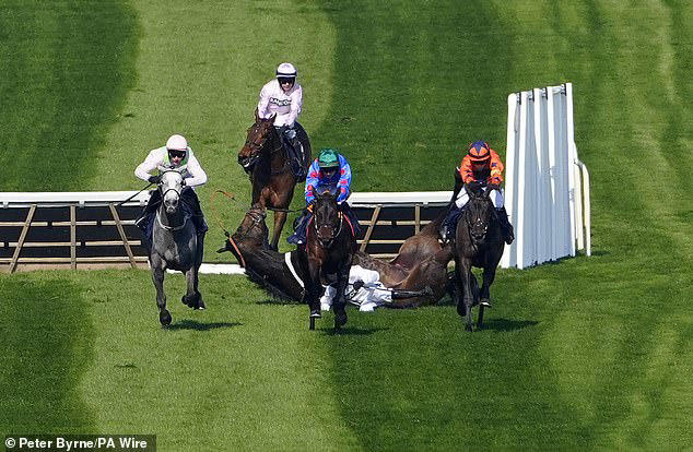 Why ending Constitution Hill's jumps career is the right call, writes  Dominic King