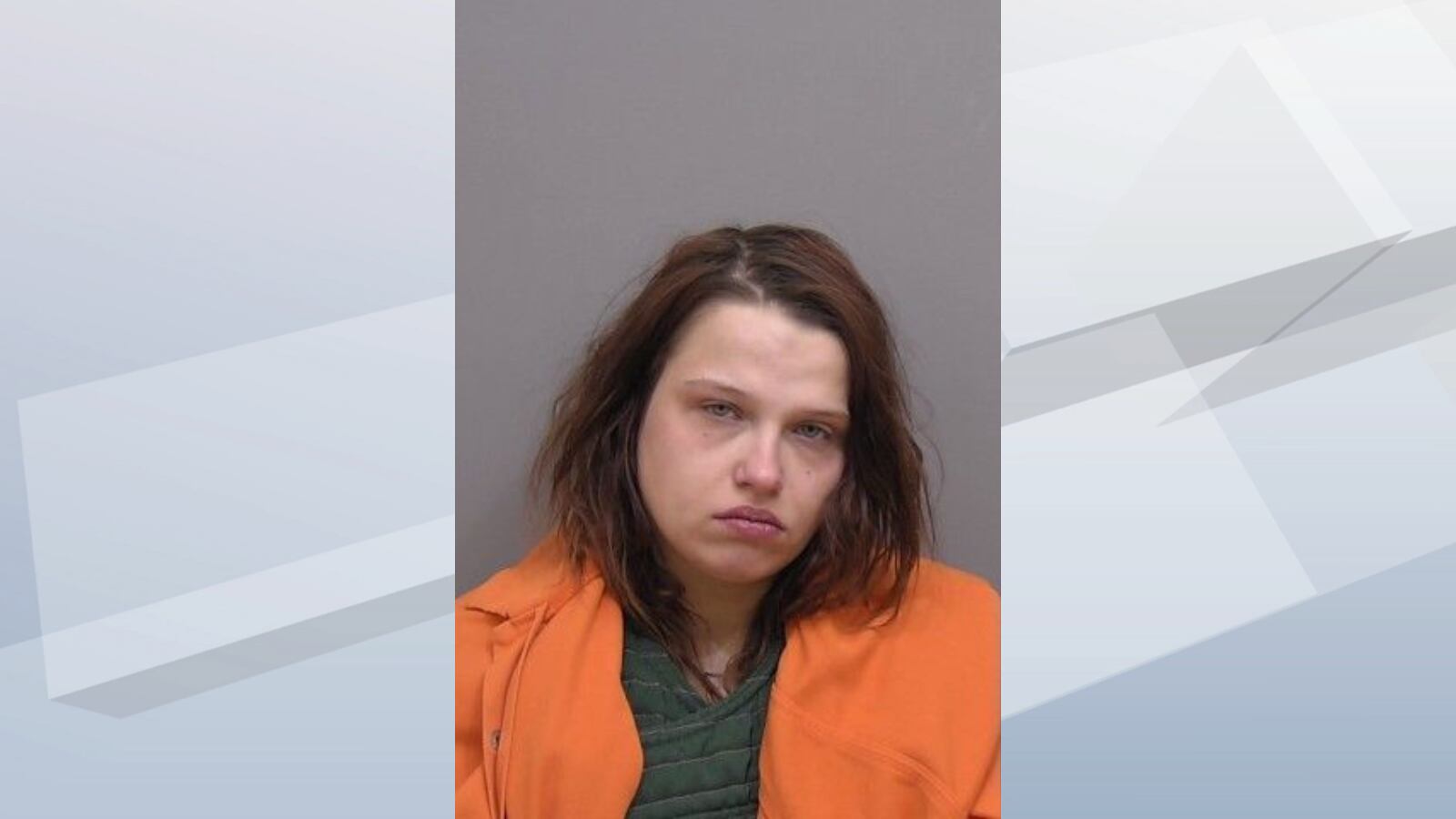 Manitowoc woman pleads not guilty to shooting boyfriend through ...