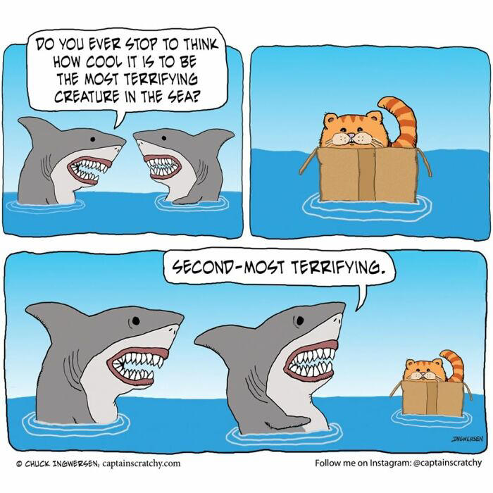 This artist creates fun comics that will probably make you smile (22 pics)