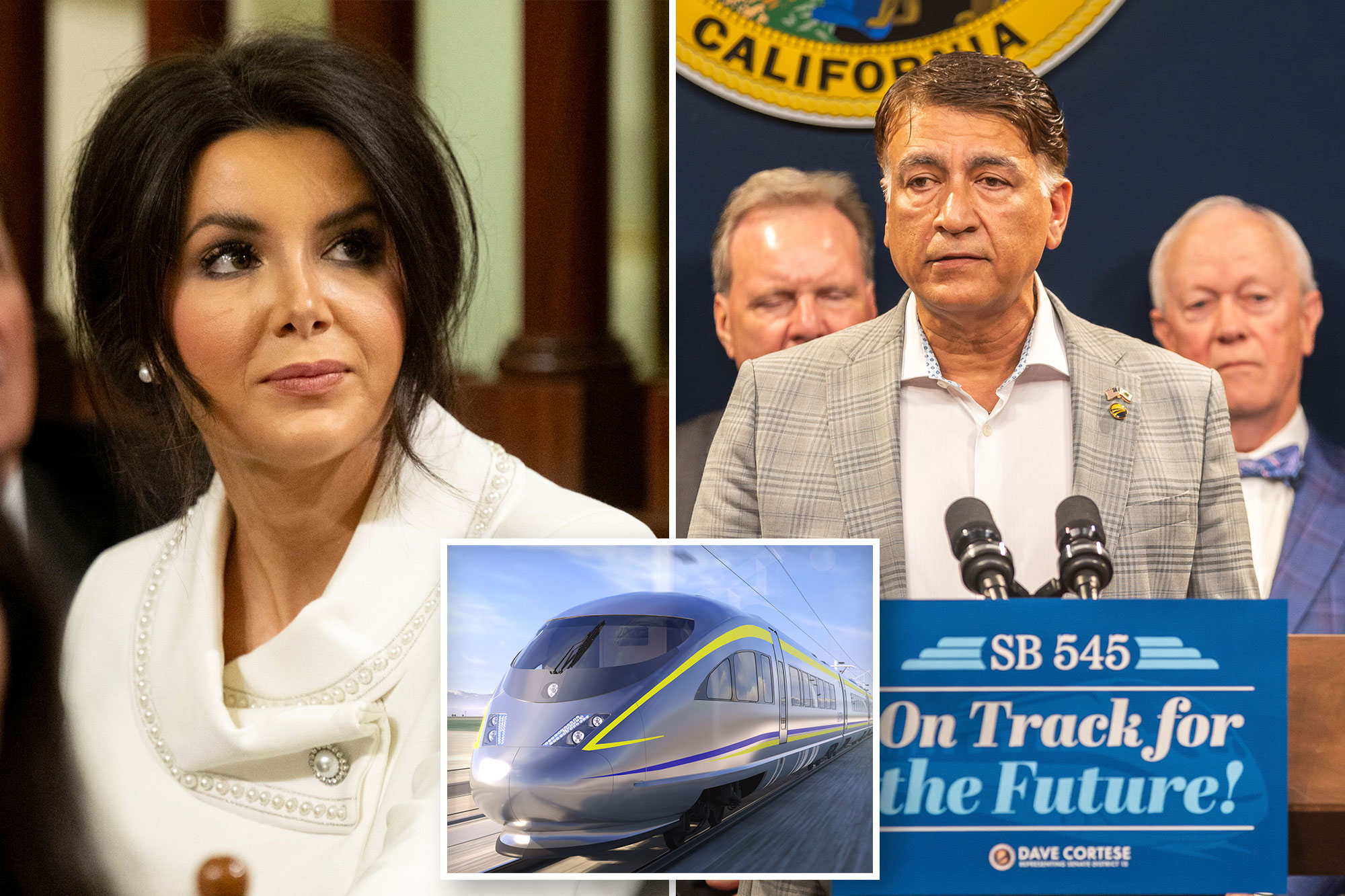 Newsom’s high speed rail CEO must go after domestic violence arrest, demands Republican lawmaker<br>