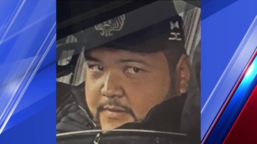 Brownsville police seek man in vehicle theft investigation