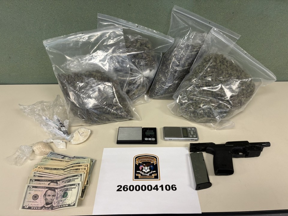 New Haven man allegedly found with fentanyl, loaded pistol after crash ...