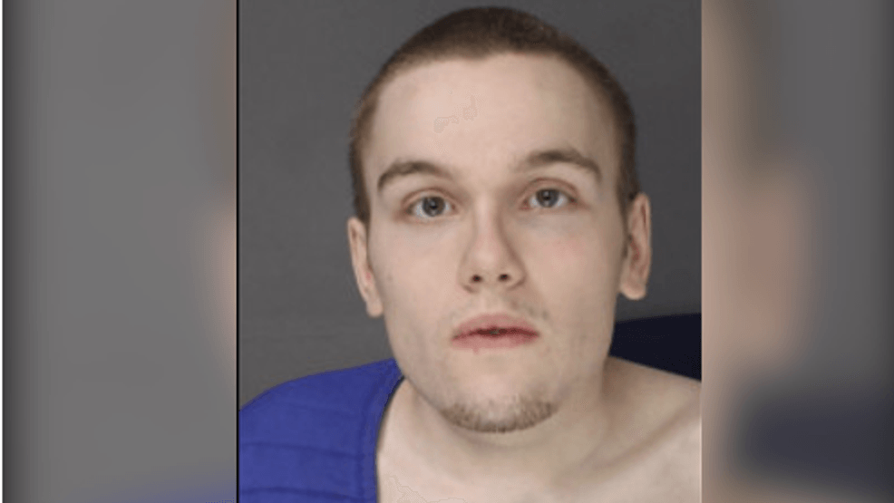Waynesboro man, 20, pleads guilty after strangling cat in 'moment of ...