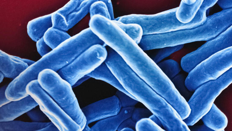 Scientists crack hidden sugar code to obliterate deadly superbugs