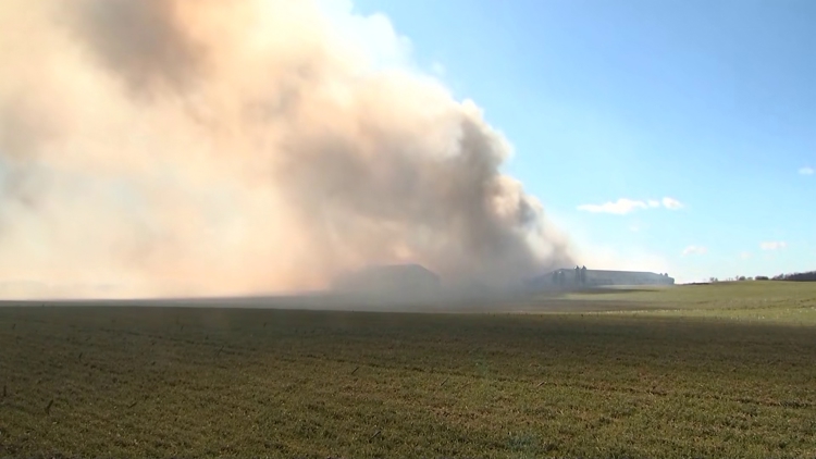 6,000 pigs killed in massive barn fire in Ohio