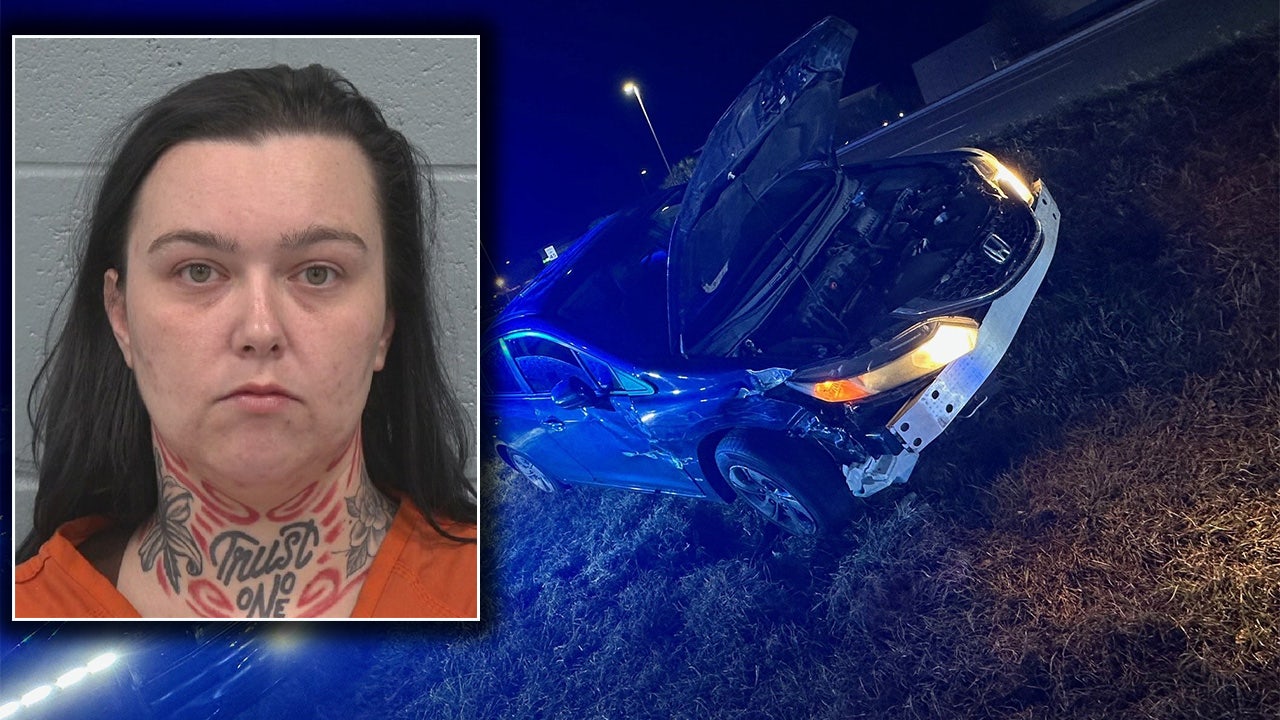 Pinellas Park woman faces several felony charges after 110+ mph chase ...