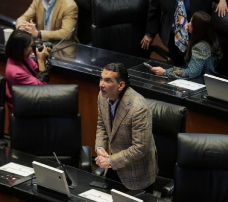 Senador del PVEM adelanta que votará en contra de la reforma electoral ...