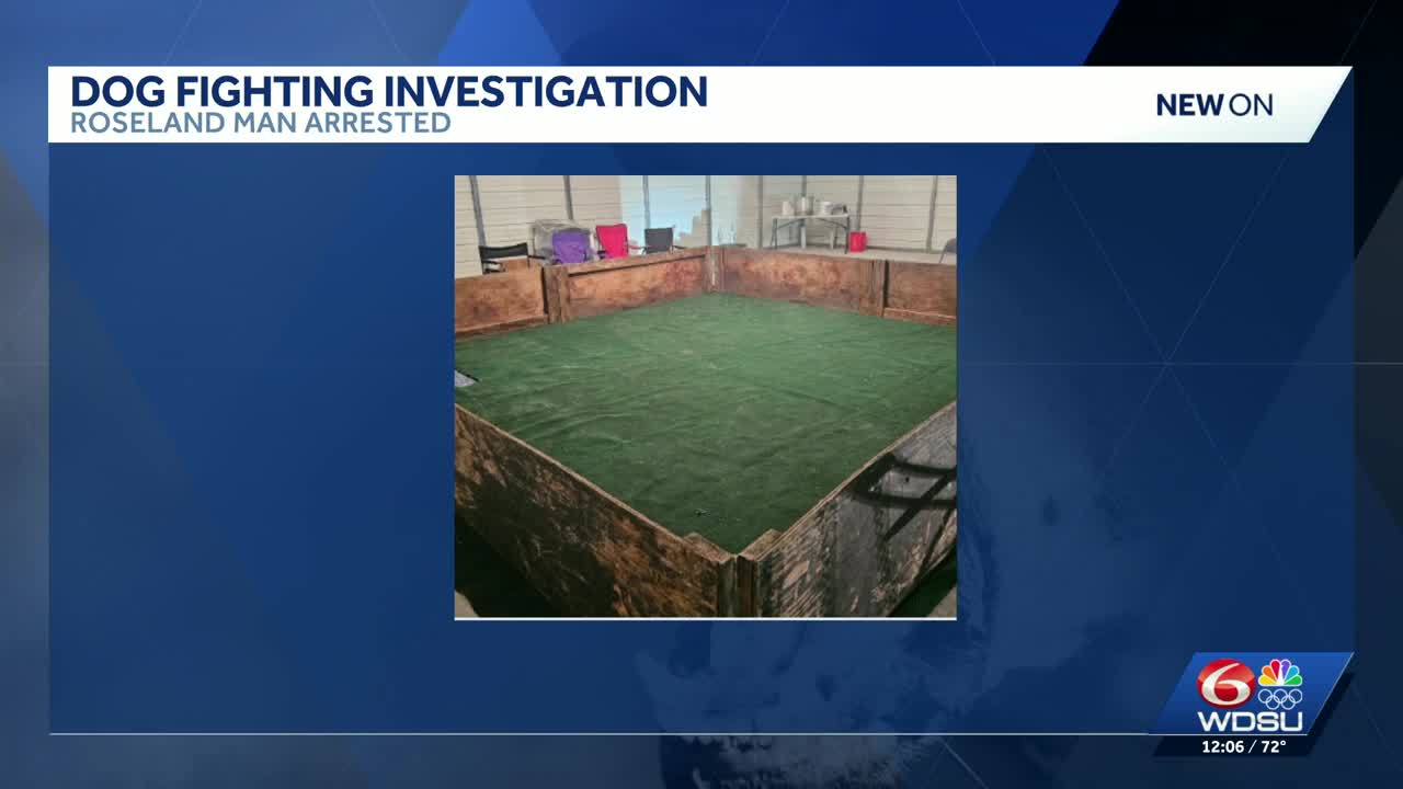 Tangipahoa Parish sheriff searching for suspects involved in dog ...