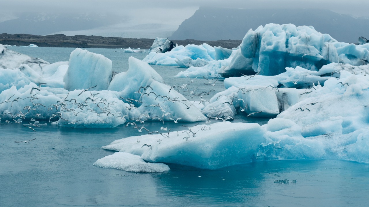 A rapidly greening Arctic may be triggering a deadly climate feedback