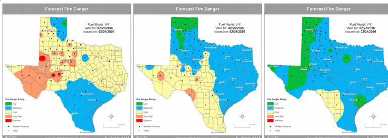 Wildfires are raging across Texas. Where is the largest one in Central ...