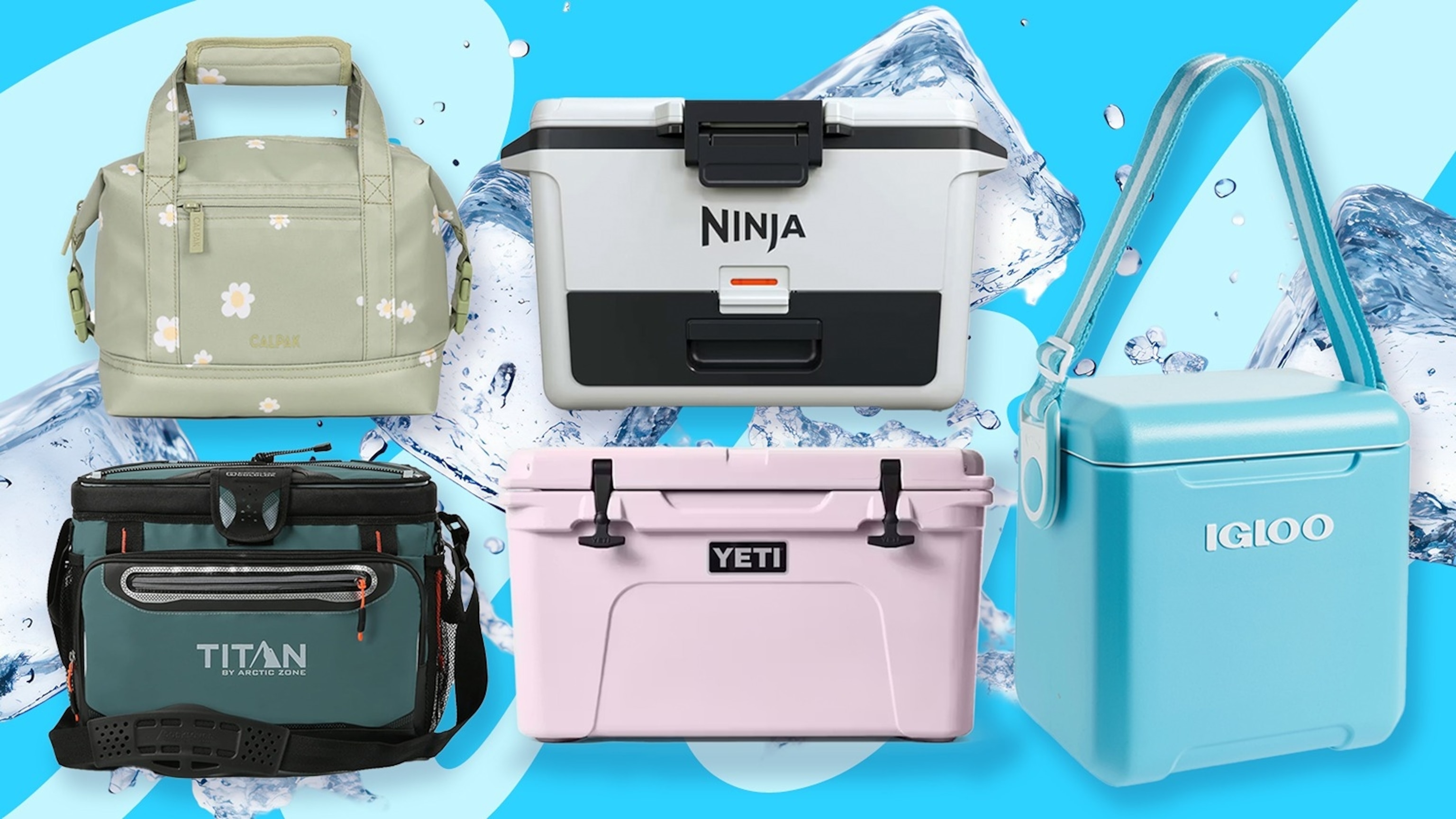 8 top coolers for every summer adventure