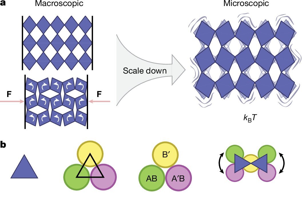 A world first at the microscopic scale: Metamaterials that can shrink ...