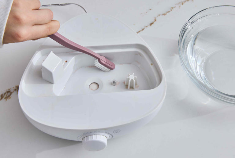 How to descale a humidifier the right way and finally get that layer of ...