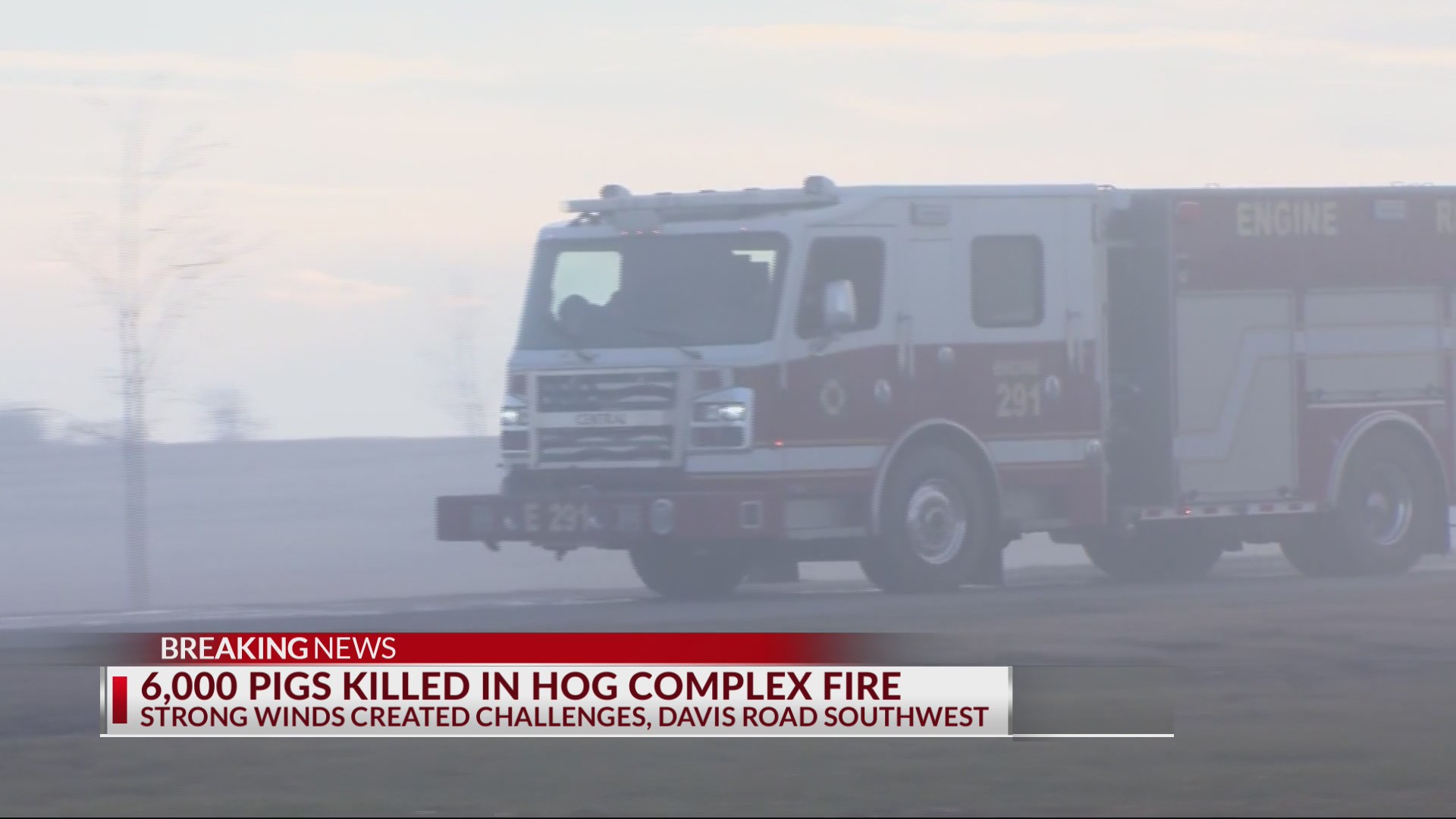6,000 hogs killed in Madison County barn fire