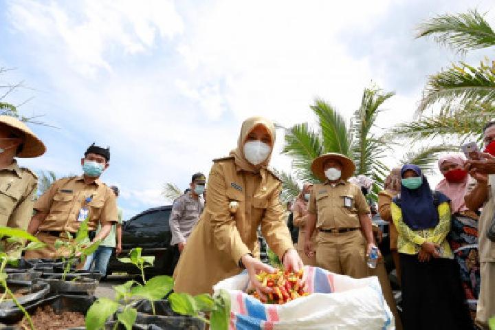 Harga pangan Banyuwangi melonjak selama Ramadan
