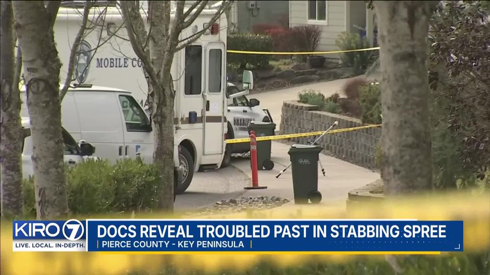Video: Court docs reveal troubled past of suspect in deadly quadruple ...