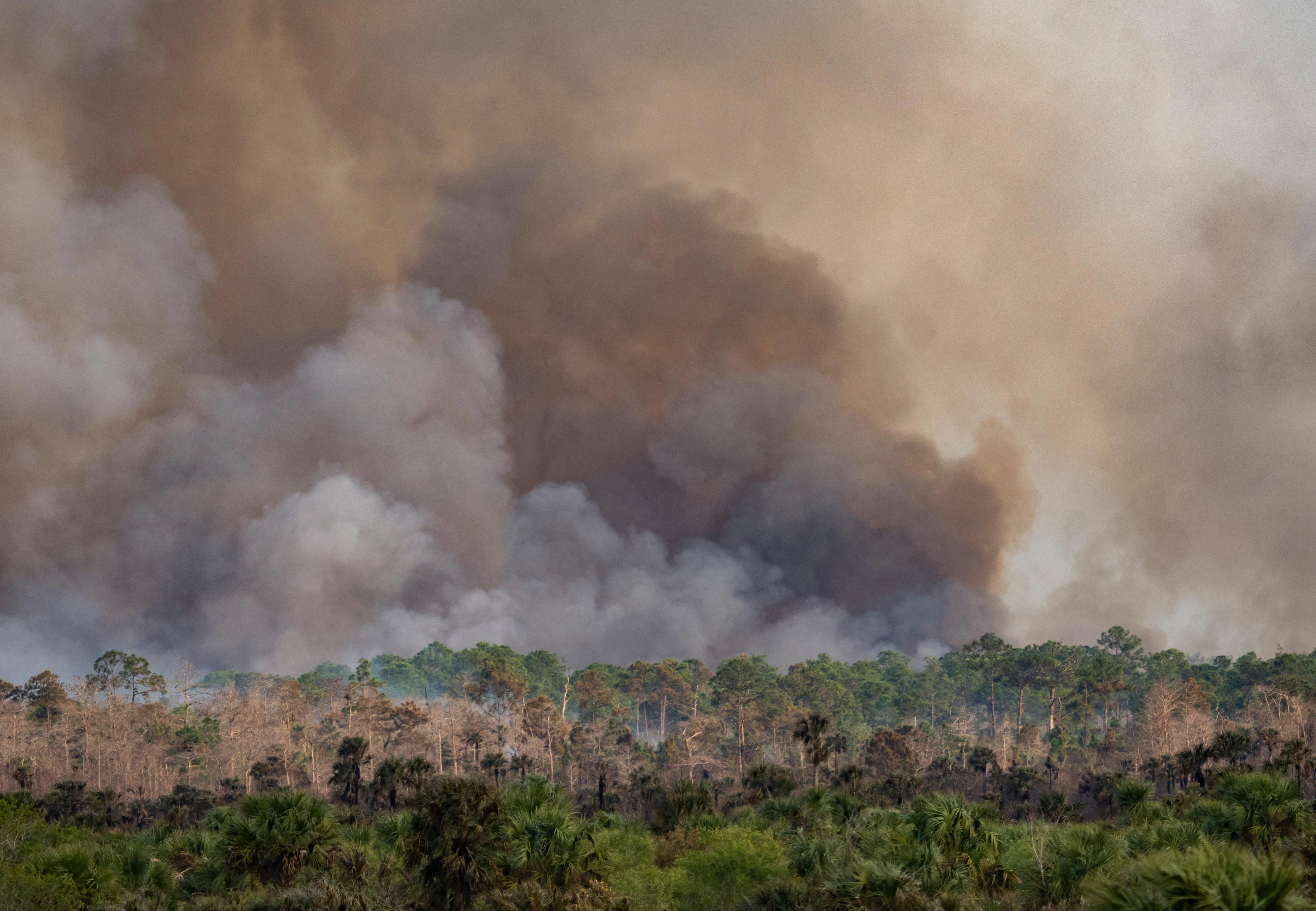 Fire at Big Cypress National Preserve nearly three-quarters contained