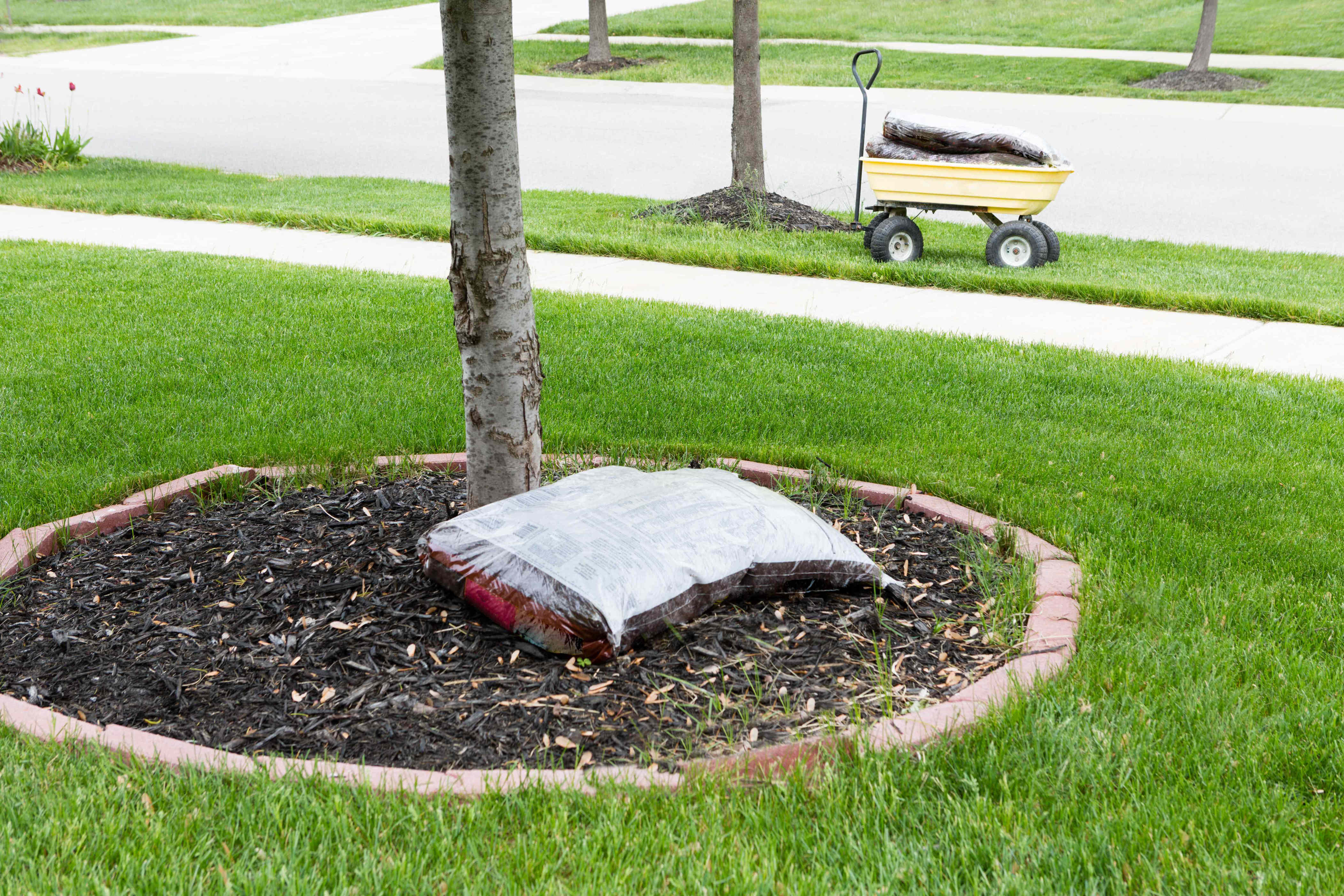 Do you need to remove old mulch before adding a new layer?