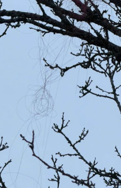Electronic warfare fails: Russian fiber-optic drone detected on Kharkiv ...