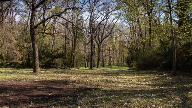 Officials concerned after 