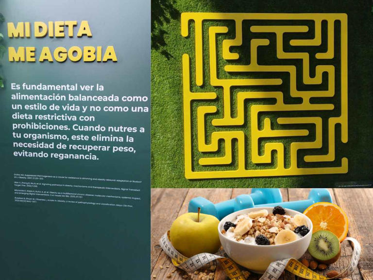 El laberinto de la obesidad: cómo entender la enfermedad para encontrar ...