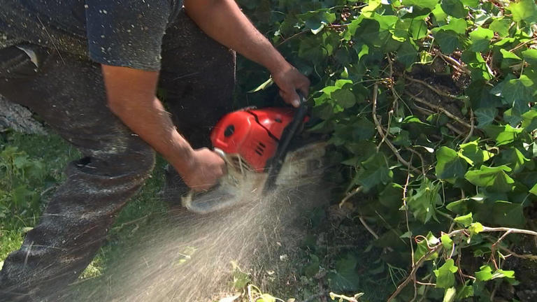 'Aggressive and deceptive': Excelsior Springs company accused of ...