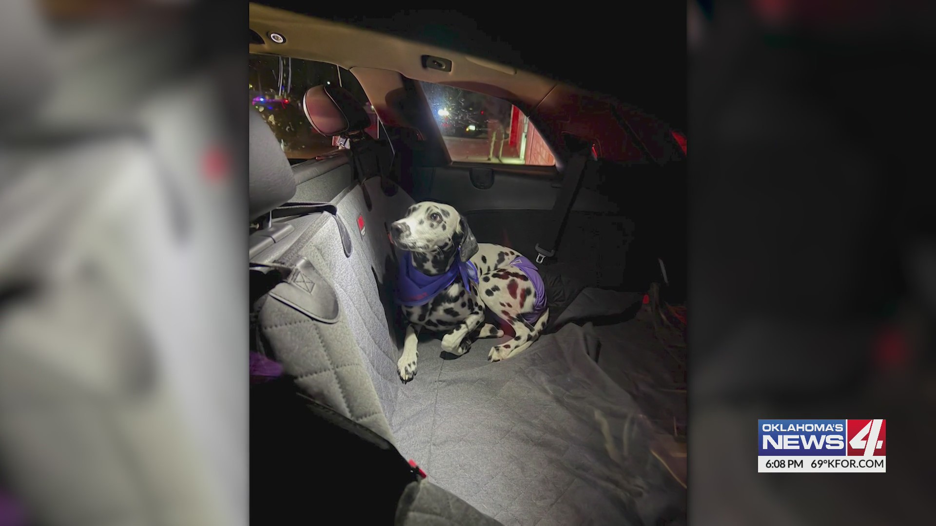 Dog reunited with owner after stolen car found in Midwest City