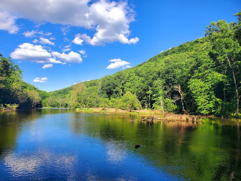 These are 11 river trails in New Jersey locals keep off the radar