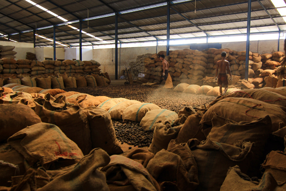 Tingkatkan Ekonomi Sumbar, Pemkab Lima Puluh Kota Percepat Hilirisasi Gambir