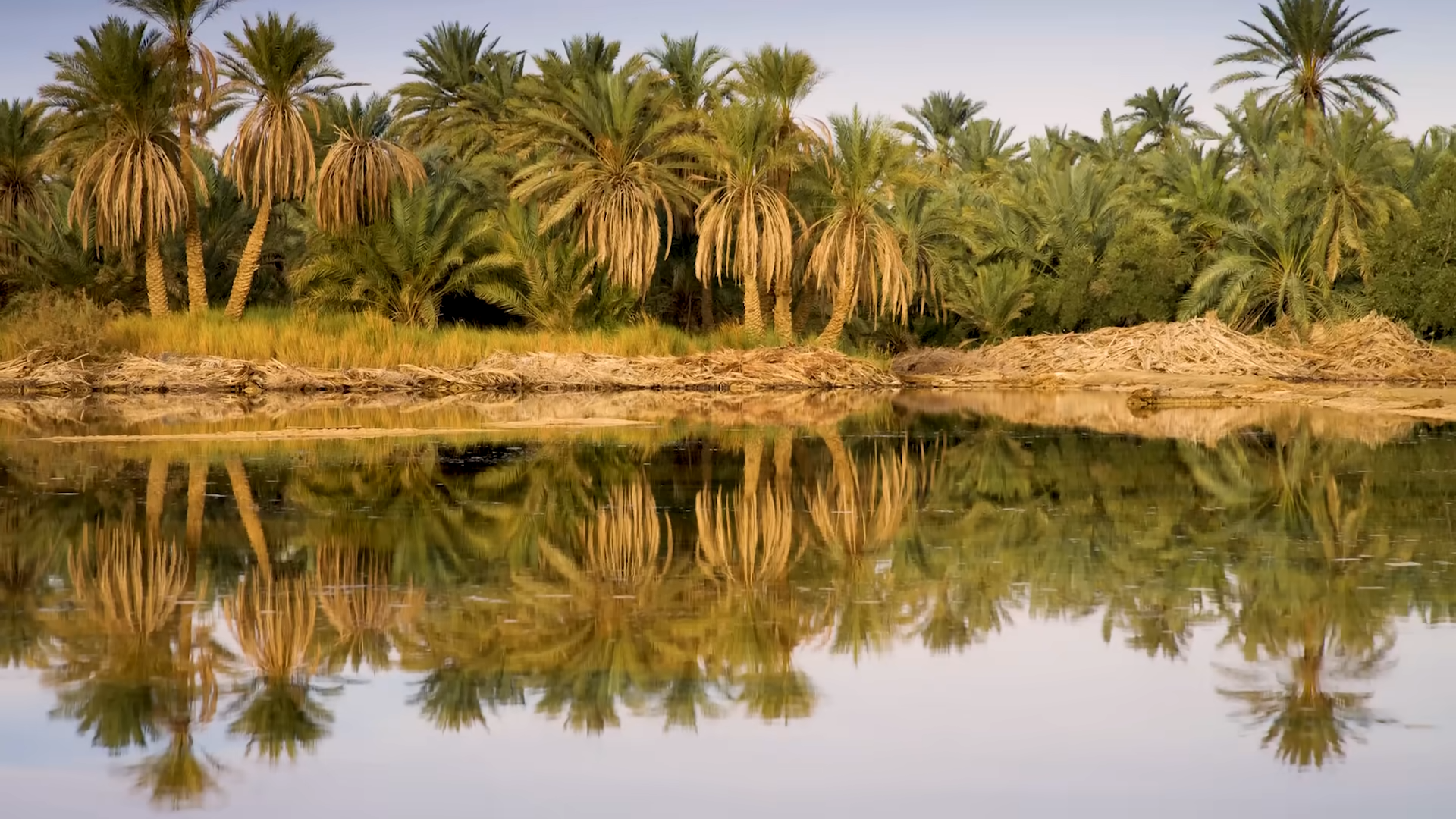 How water tables create cities in the desert