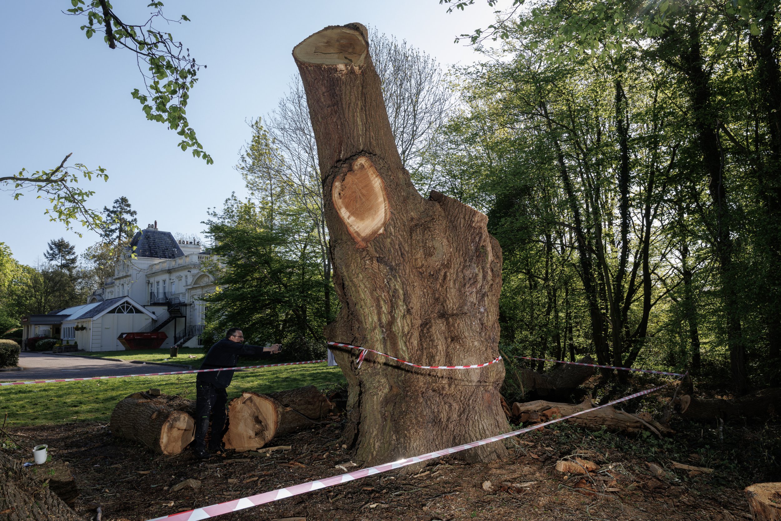 Ancient tree felled next to Toby Carvery 'was healthy and posed no danger'