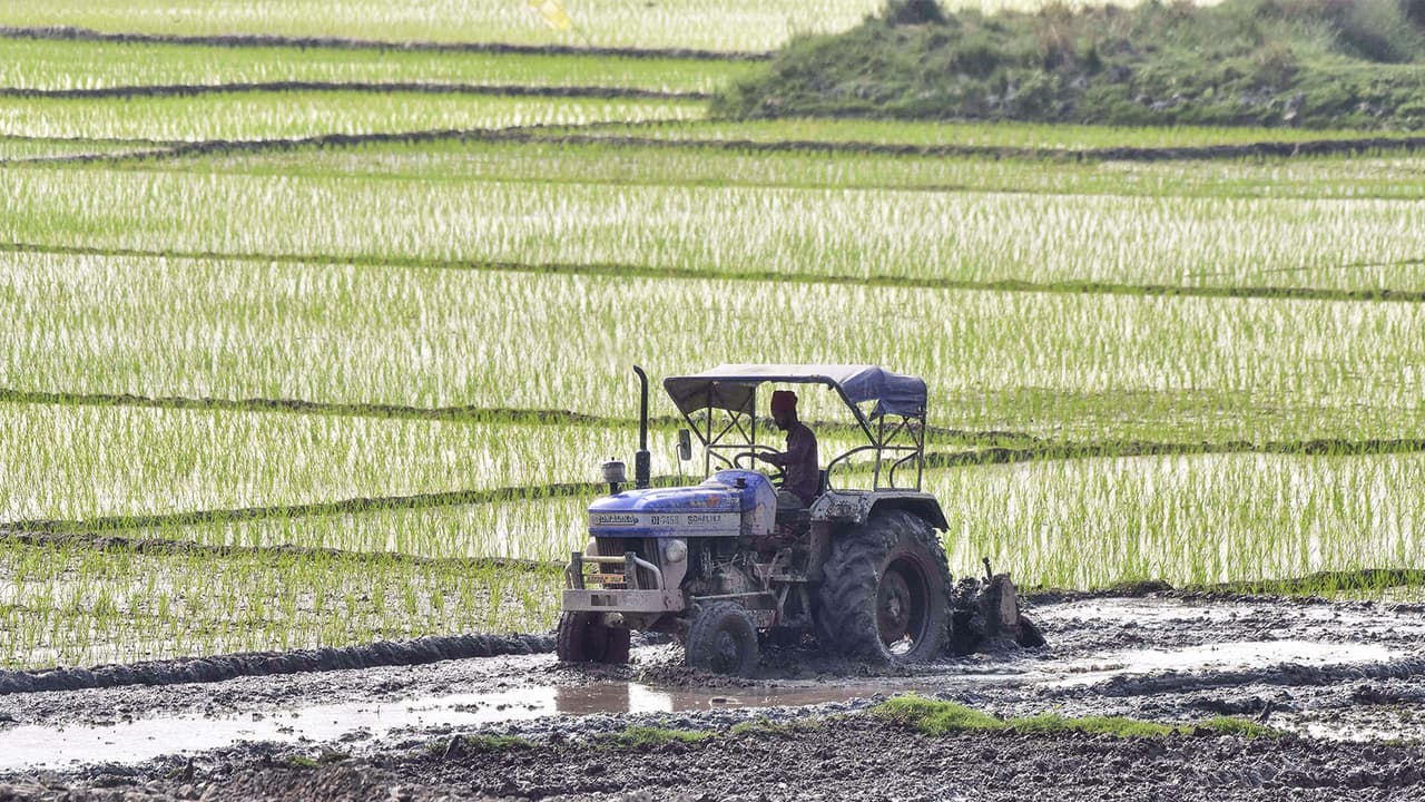 El Nino effect may weaken monsoon, hit India's tractor sector: HSBC