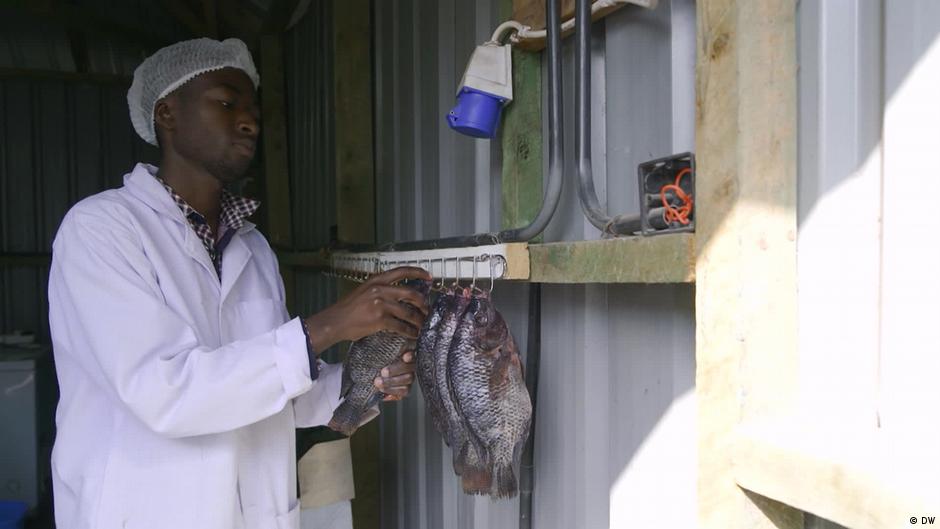 Solar-powered vertical fish farms thrive in Kenya