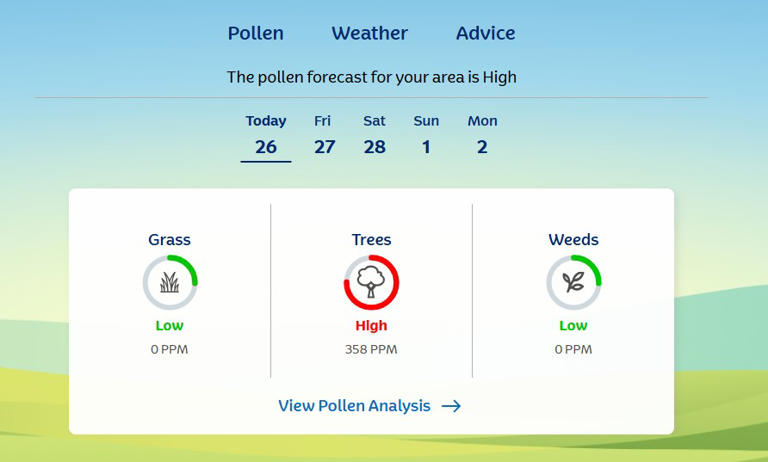 Hay fever alert over 'very high' tree pollen as temperature hits 19C