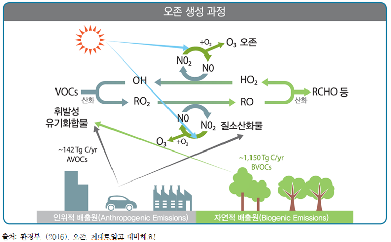 [기고문] 대기오염 노출 분포 특성