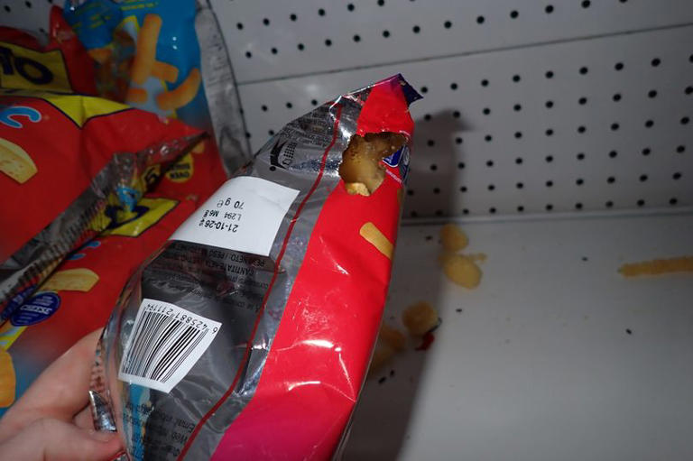 Shop shut down after crisp packets gnawed through on shelves