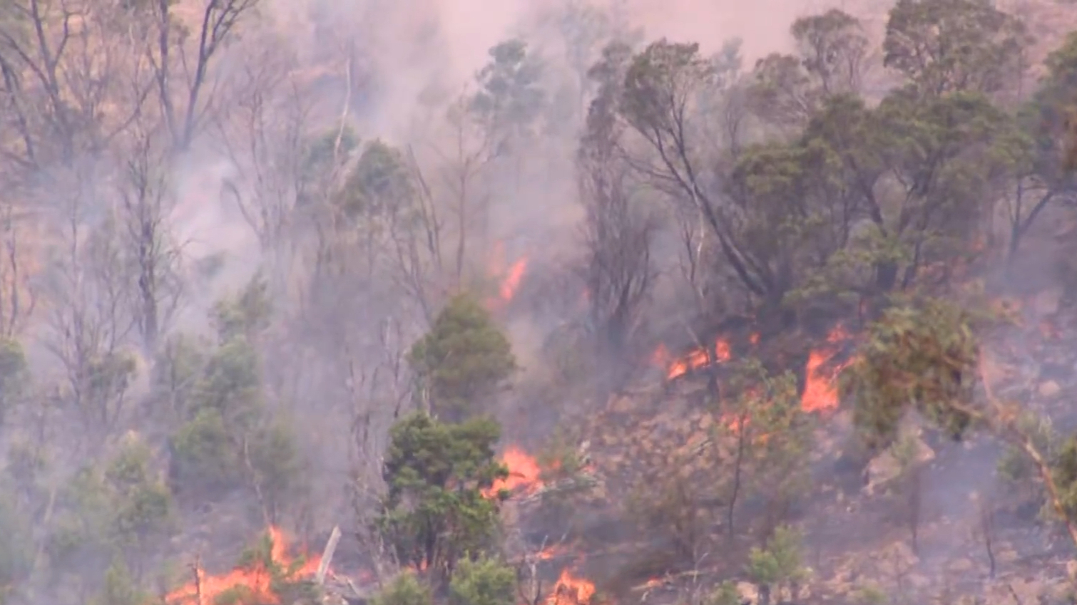 Huge swath of the country facing increased bushfire risk in lead-up to ...