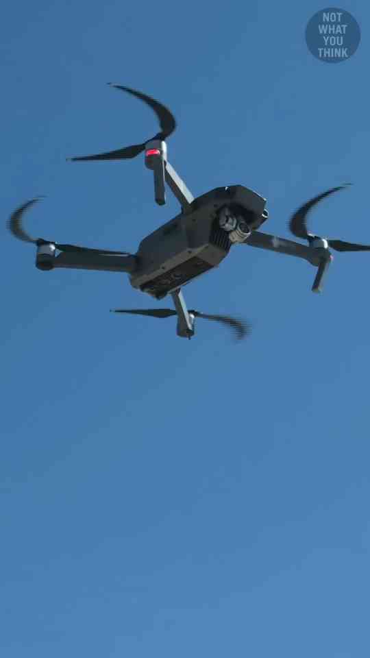 Hunting drones with eagles