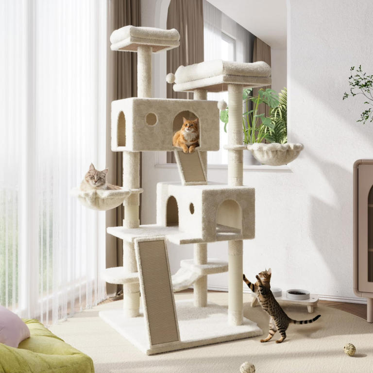 Walmart's best-selling $156 large cat tree is now $86 — 7 levels of fun