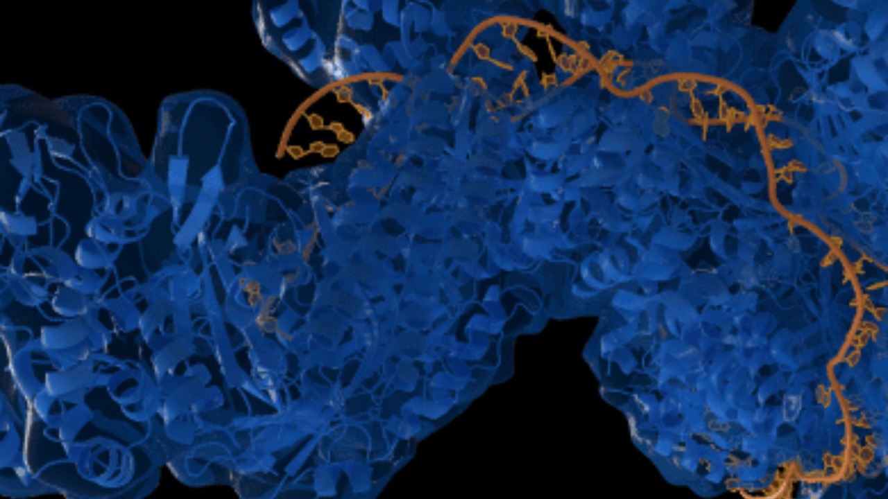 Gene editing advances raise real prospects for future DNA upgrades