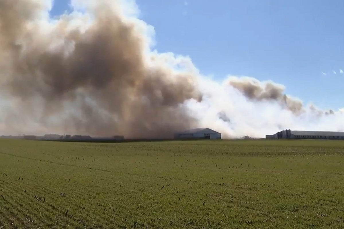 Farm fire kills thousands of animals with smoke visible for miles