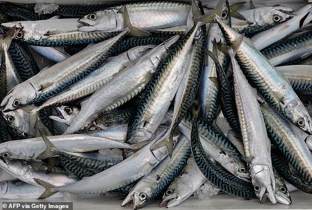 Waitrose is refusing to sell mackerel amid overfishing fears as it ...