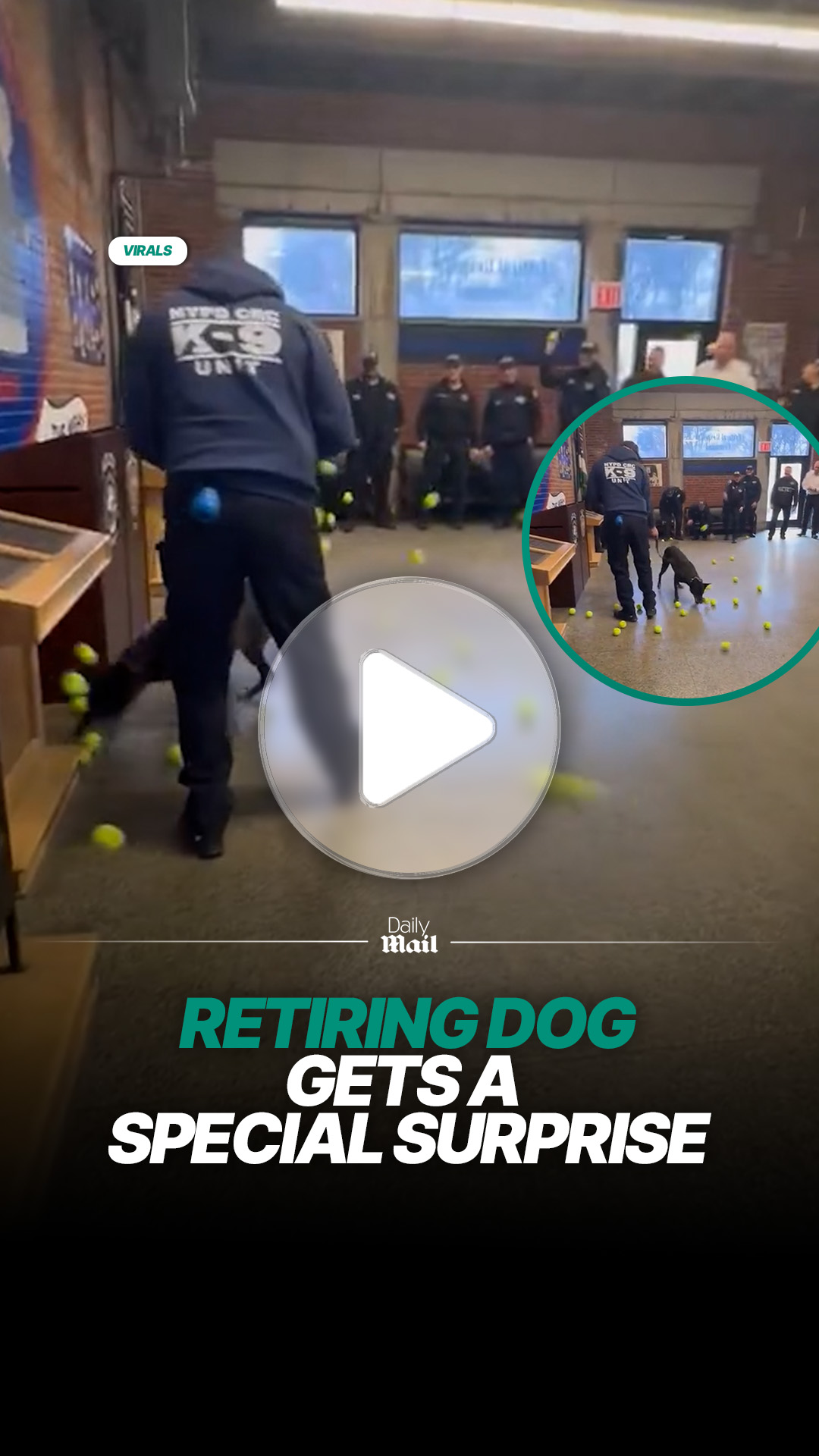 Police dog honored with surprise on final day of service