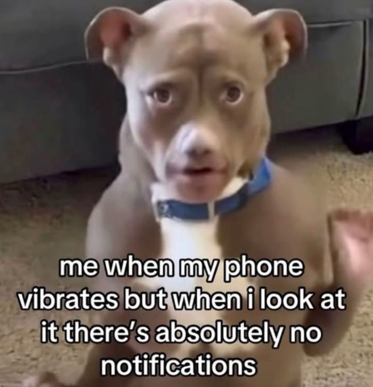 50 extremely random things basically every person on earth has ...