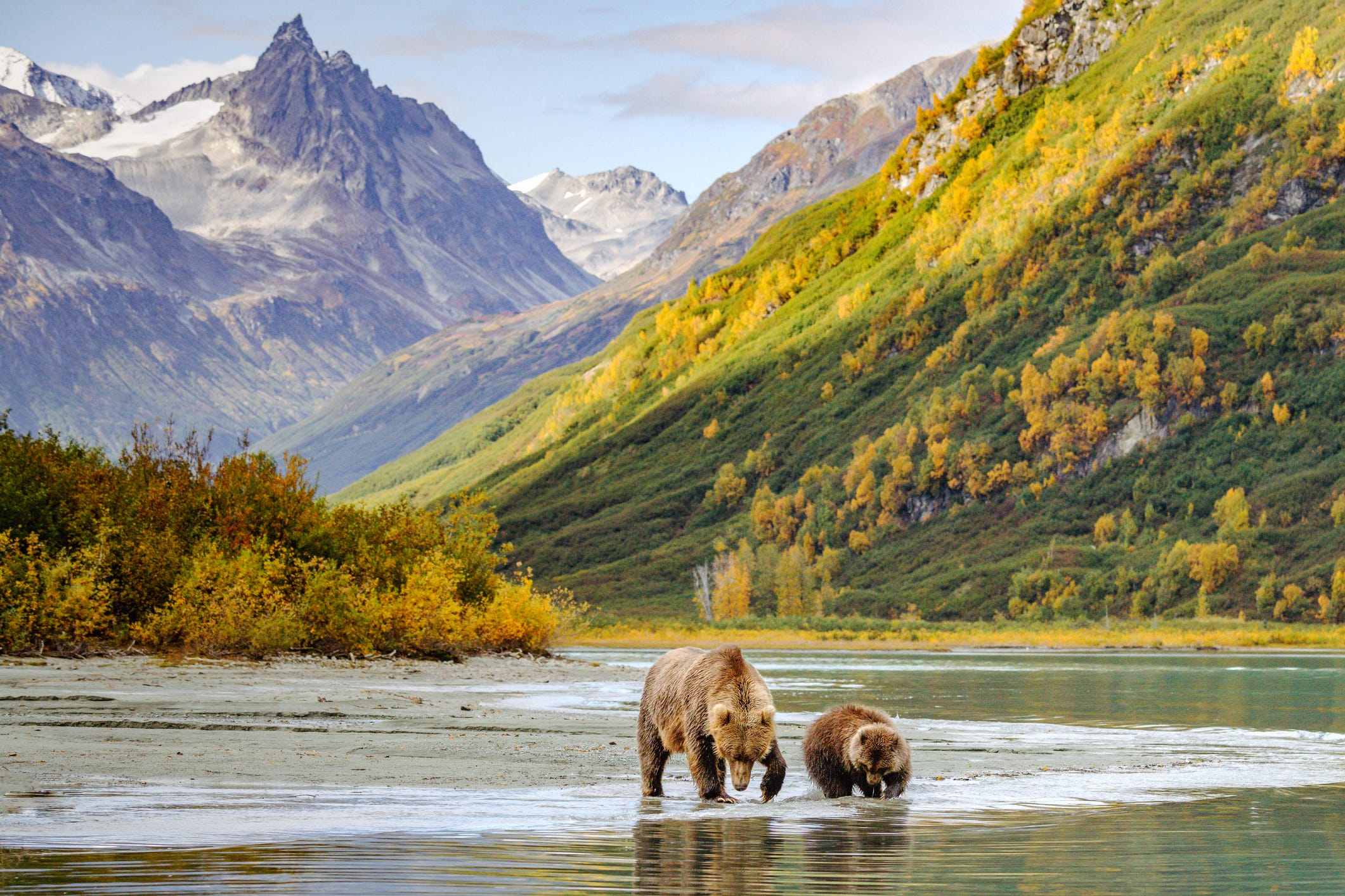 The most beautiful national parks you need to visit in the US