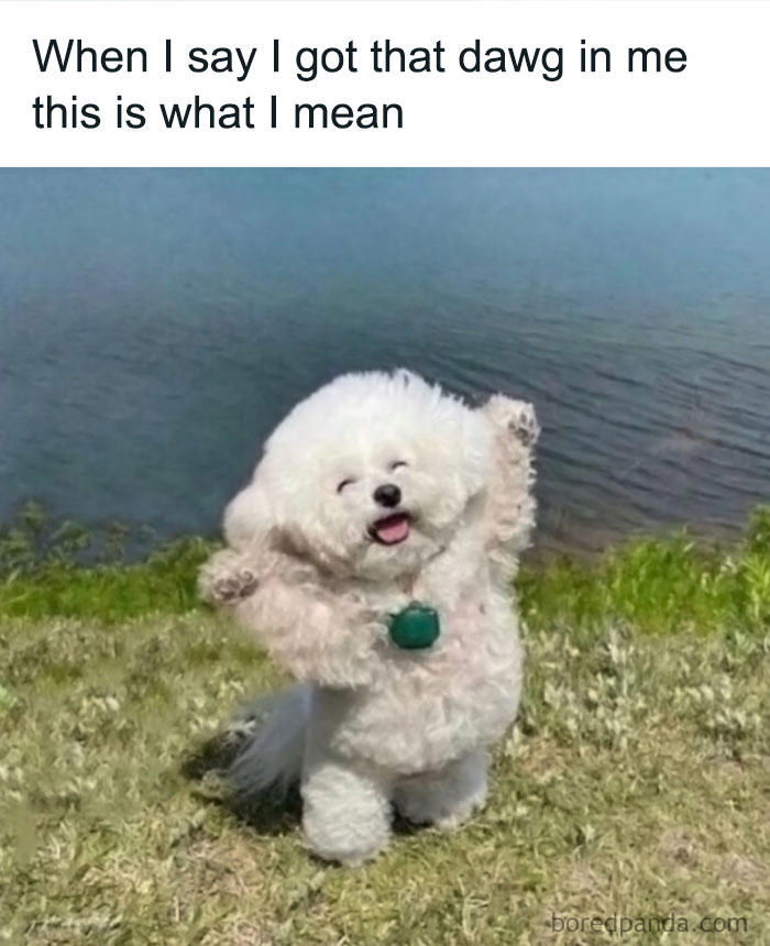 50 uplifting memes and posts for that daily dose of positivity (new pics)