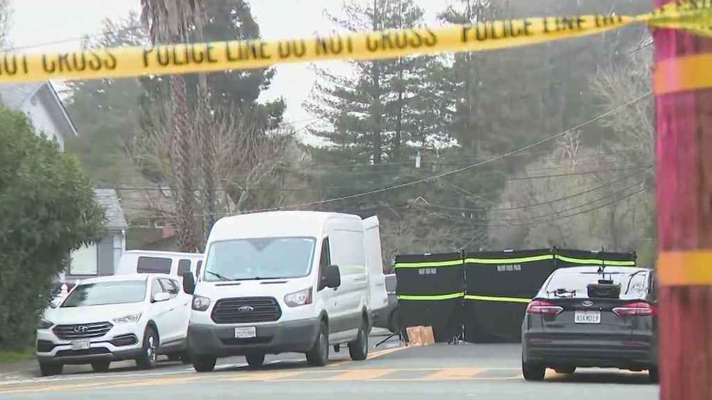 Walnut Creek police fatally shoot man; mother says he had mental health issues<br><br>